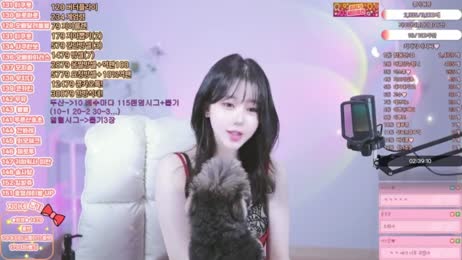 아콩 쇼쇼쇼
